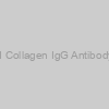 Rat Anti-Rat Type I Collagen IgG Antibody Assay Kit, (OPD)